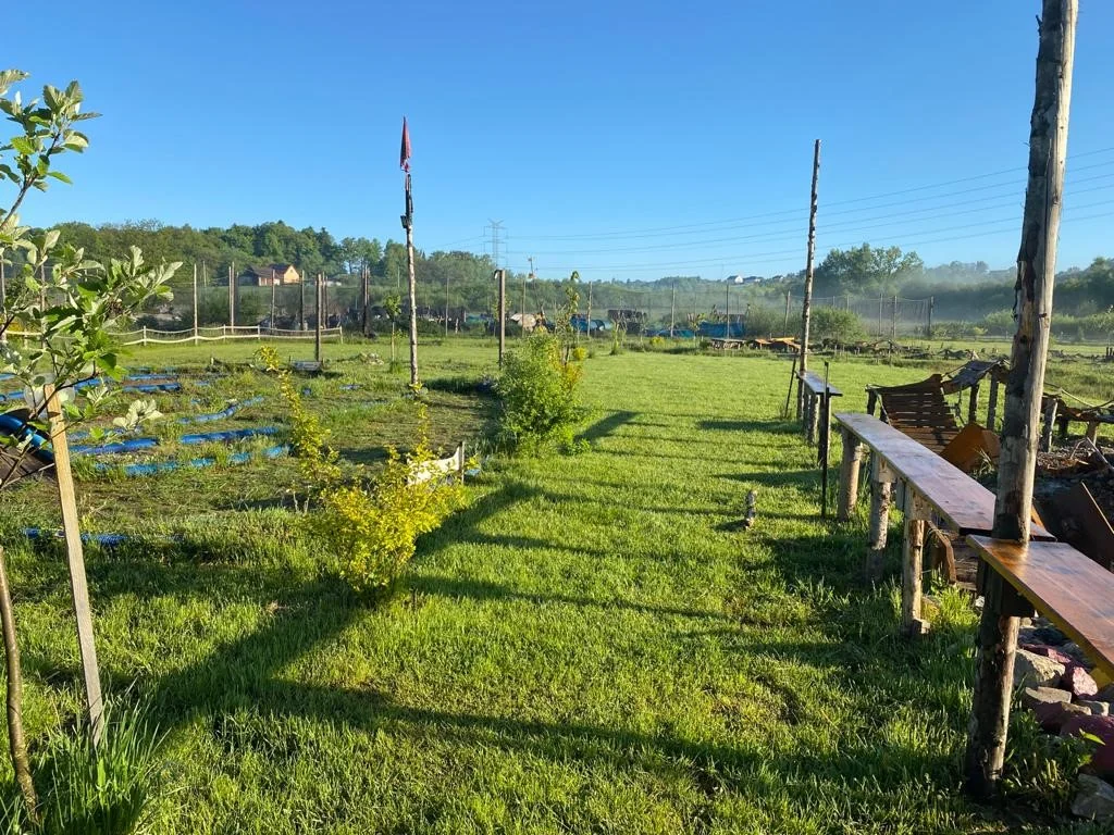 Wycieczki dla Szkół Podstawowych